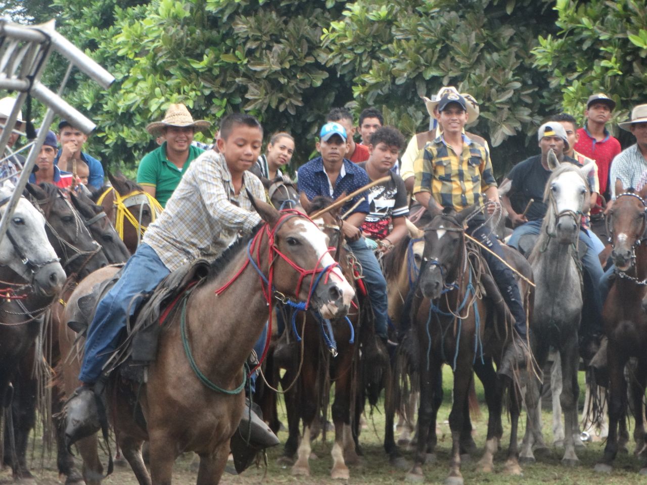 caballos